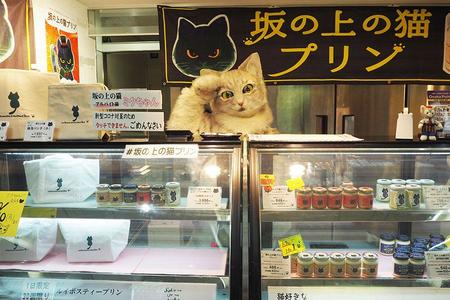 　「坂の上の猫」過去出店の様子、アルバイト猫の「ミクちゃん」（２０２２年１０月・大阪市内）