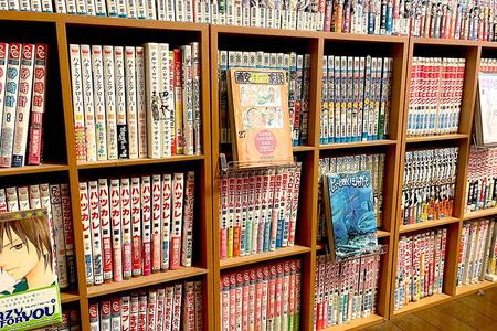 　ＤＡＩＳＯ×京都芸術大学の「漫画を飾れる棚」を使ってみました