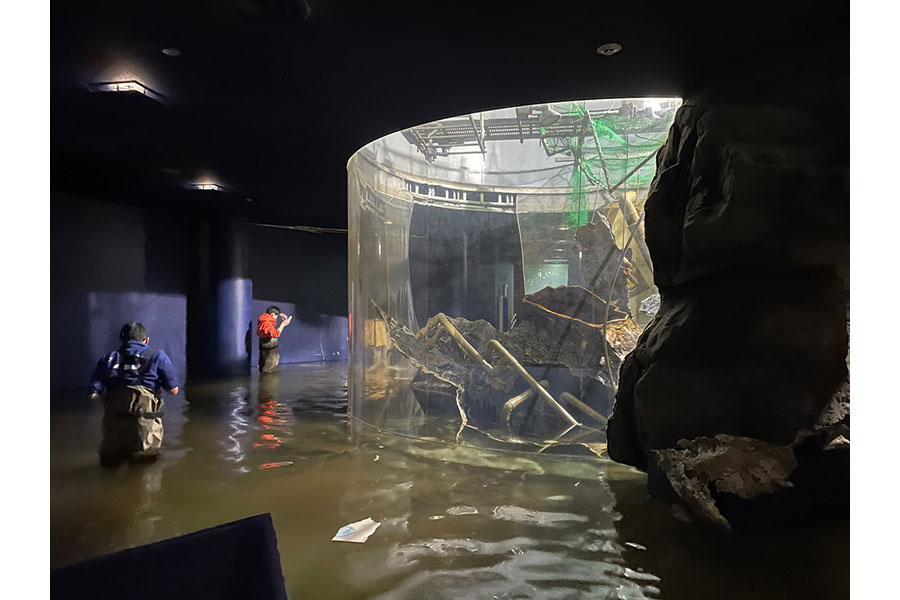 　大きく亀裂の入った滋賀県立琵琶湖博物館の大型水槽（提供＝滋賀県立琵琶湖博物館）
