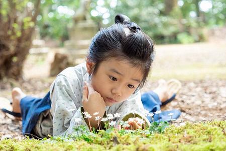 　バイカオウレンの花を見つめる万太郎（森優理斗）（Ｃ）ＮＨＫ