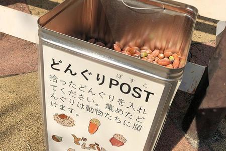 「京都市動物園」に設置されていたどんぐりポスト（写真提供：京都市動物園）