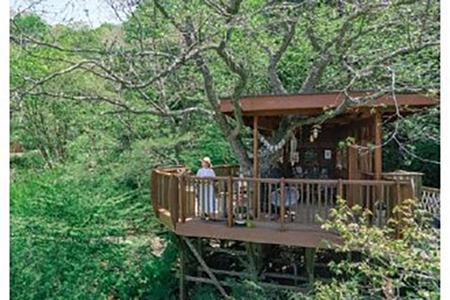 　ツリーハウス ©ｓｈｉｎｉｔｃｈｉ　ｋａｍａｔａ