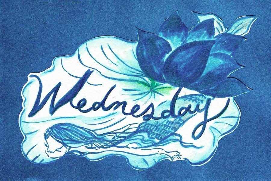 　カメリア・マキの魔女占い【水曜】