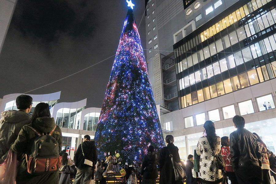 大阪・梅田の名物「巨大クリスマスツリー」、今年は