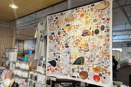 　「大阪市立自然史博物館」のオリジナルグッズ「『貝千種』 風呂敷」（６２７０円）