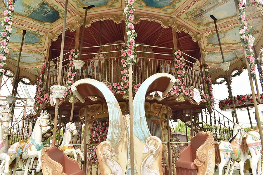 　早朝の散策デーに参加すれば、動いていない状態でゆっくり撮影もできる