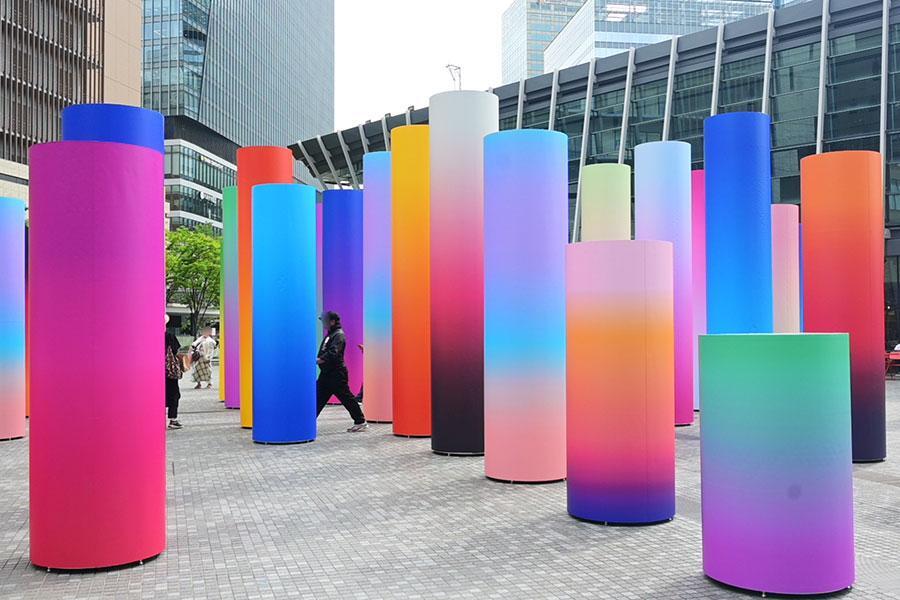 「Ａ Ｆｏｒｅｓｔ ｏｆ Ｄｅｌｉｇｈｔ」の展示