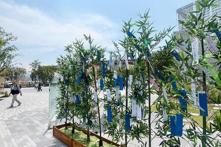 　『２０２５大阪・関西万博』７月２日、昼１１時ごろ。東ゲート近くには短冊が飾られていた（Ｌｍａｇａ.ｊｐ撮影）