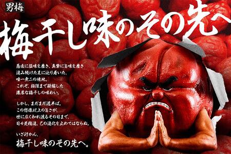 全国7カ所で『男梅全国布教行脚』を開催