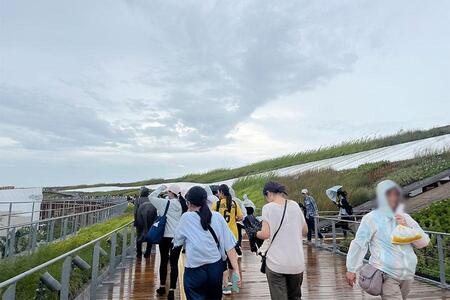 　『大阪・関西万博』８月１１日（月）強風が吹く大屋根リング上。草木も大きく揺れ、傘を必死に持つ人も多く（１６時半ごろ／Ｌｍａｇａ.ｊｐ撮影）
