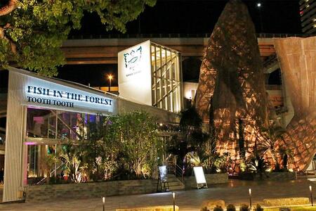 　「ＴＯＯＴＨ　ＴＯＯＴＨ　ＦＩＳＨ　ＩＮ　ＴＨＥ　ＦＯＲＥＳＴ」の夜の雰囲気