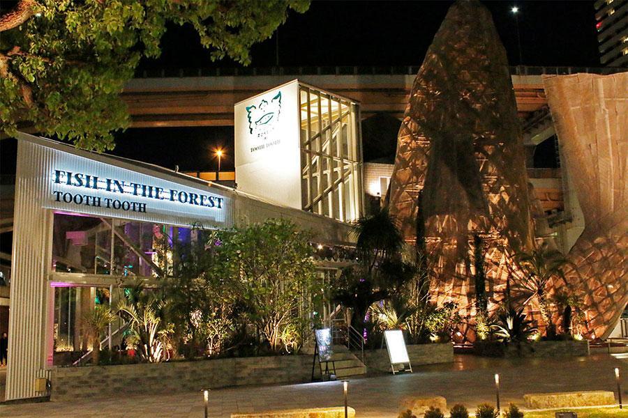 　「ＴＯＯＴＨ　ＴＯＯＴＨ　ＦＩＳＨ　ＩＮ　ＴＨＥ　ＦＯＲＥＳＴ」の夜の雰囲気