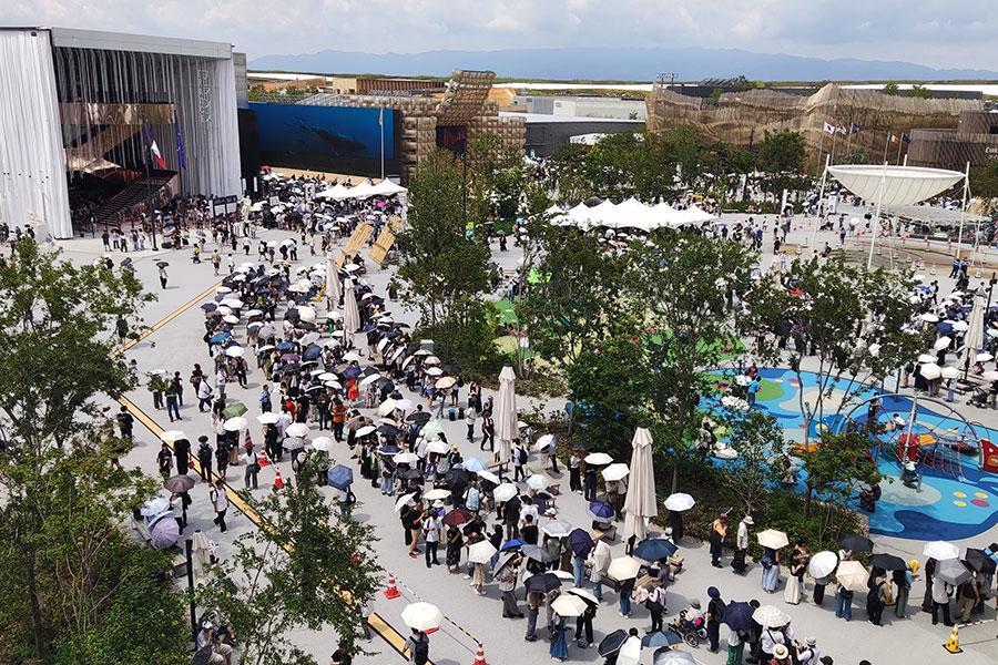 「残り50日」切った万博、これまでの入場者数トップ5は？（写真は大屋根リング上から見た会場の様子／Lmaga.jp撮影）