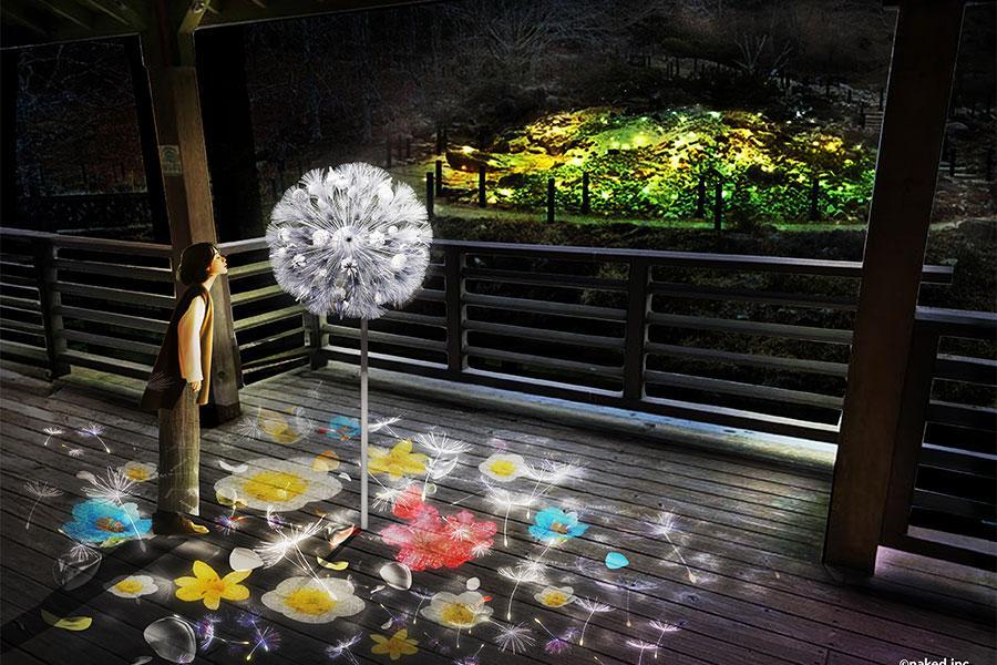 　村松亮太郎/ＮＡＫＥＤ, ＩＮＣ.『ＤＡＮＤＥＬＩＯＮ ＰＲＯＪＥＣＴ』