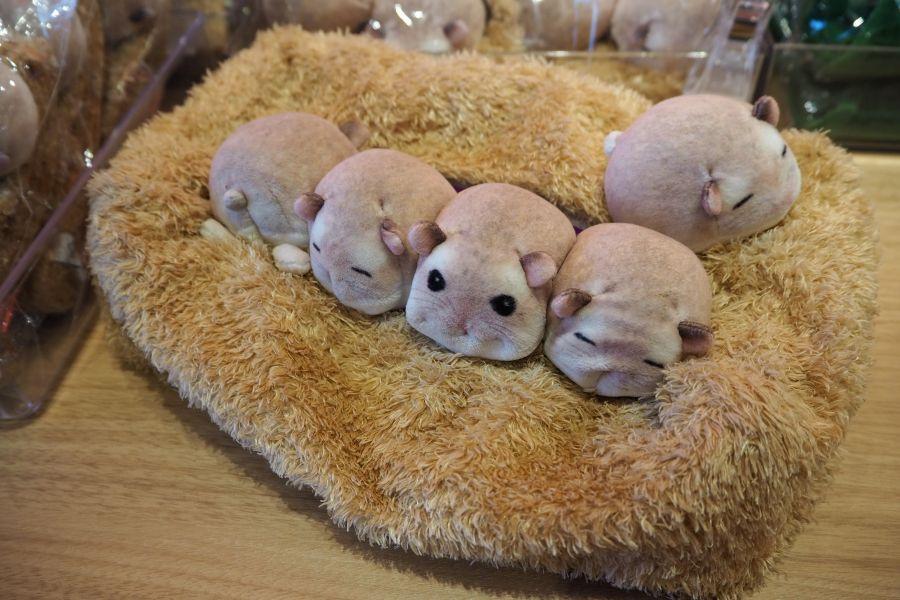 愛らしい５匹のハムスターに癒やされそうな「ぎゅうぎゅう集まって眠るハムスターのボックスティッシュカバー」(撮影９月９日：大阪・関西万博）