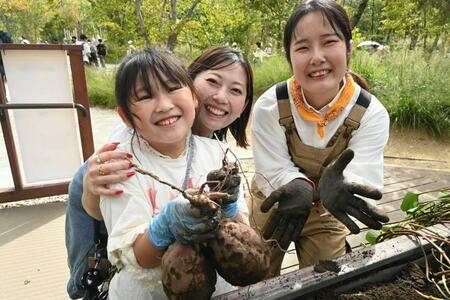 　ファミリーが万博会場で芋掘り体験。スタッフも全力でサポート（撮影：１０月１０日：大阪・関西万博）