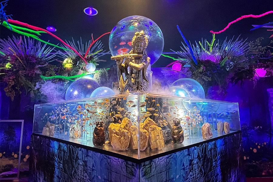 　「プラネットアクア・ポート～ＵＮＤＥＲ ＷＡＴＥＲ ＳＰＡＣＥ～」より（Ｌｍａｇａ.ｊｐ撮影）