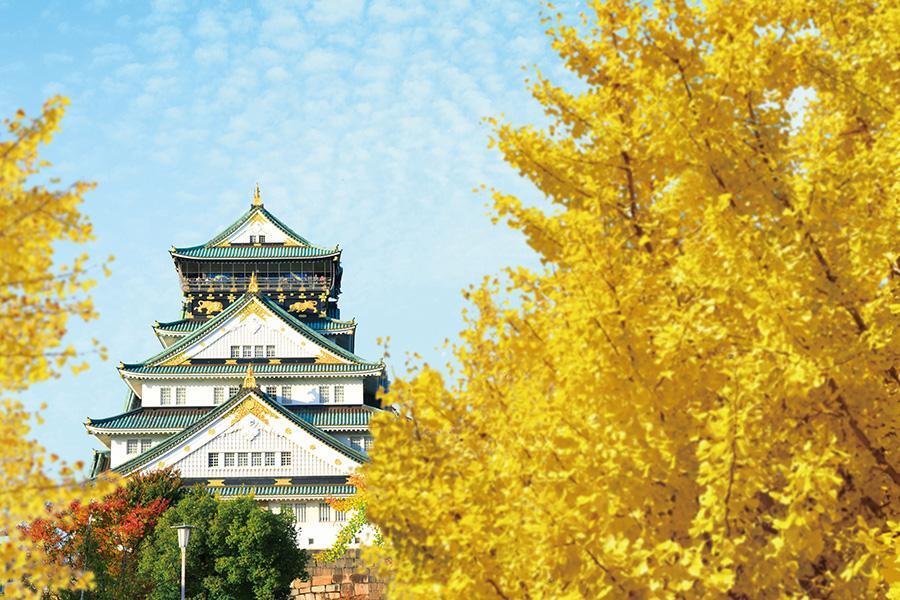 　「大阪城公園」紅葉時期のイメージ