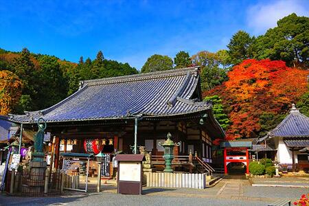 　ミャクミャクが潜伏してる…？京都のお寺「楊谷寺」が話題