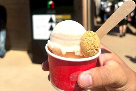 カフェで提供していたジェラートやコーヒーを求めカフェにはファミリーや学生さん、中高年と幅広い年齢層が来店（「大阪・関西万博」　画像提供：IIACJ）