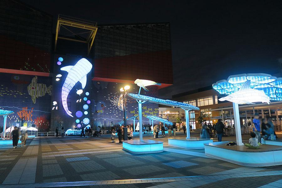 　『海遊館イルミネーション２０２５』の様子（１７時半頃・大阪市港区）