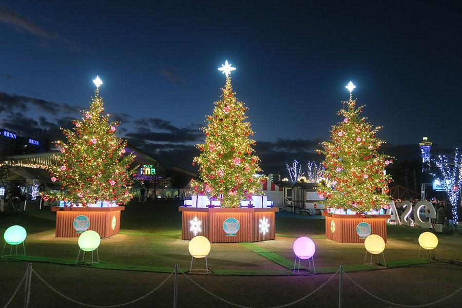 大阪・天王寺のクリスマスマーケット開幕、「3本の巨大ツリー」と