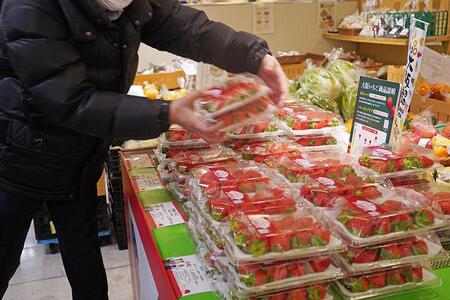　百貨店「あべのハルカス近鉄本店」（大阪市阿倍野区）の店頭に、朝採りいちごが並ぶ様子（１２月１７日撮影／Ｌｍａｇａ.ｊｐ）