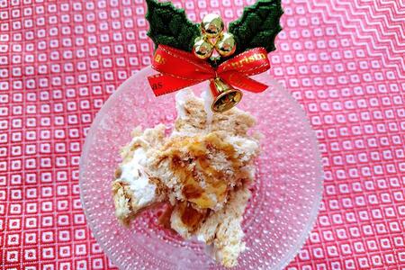 　ヨーグルトとココナッツサブレで簡単スイーツ完成！クリスマスにもオススメ