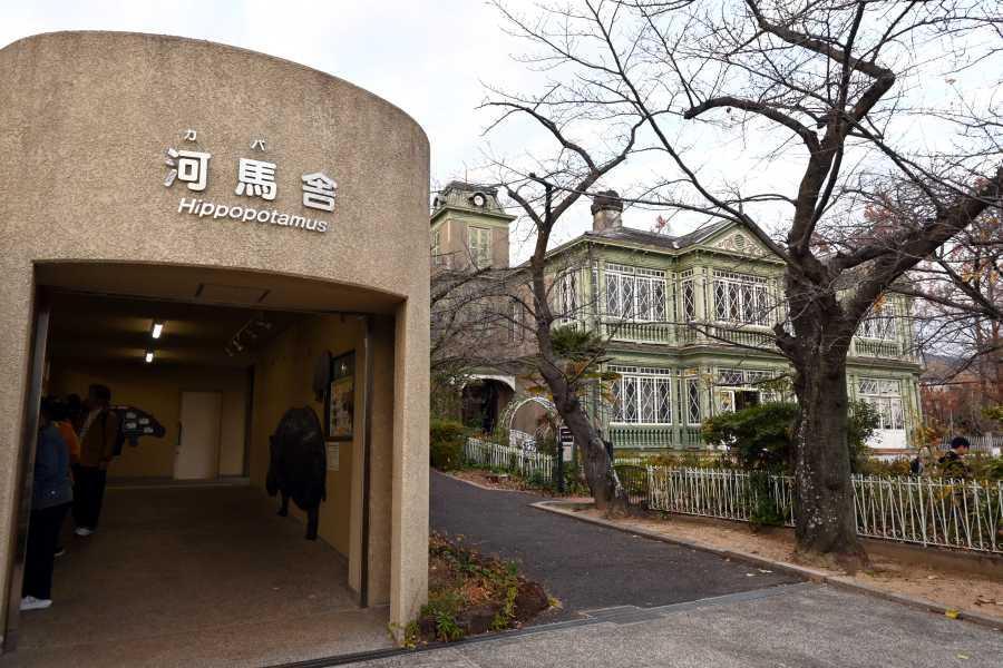 　河馬舎と旧ハンター邸が隣り合う（（「旧ハンター住宅」１２月２０日撮影）