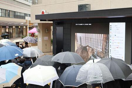 　雨のなか、ワインの誕生日オンライン配信をライブビューイングで楽しむファン（２月１１日撮影、池田市）