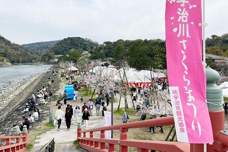 　宇治川の春を彩る恒例イベント『宇治川さくらまつり』