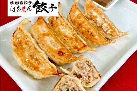 　「宇都宮餃子 はちまん餃子」の肉汁溢れる焼き餃子（５個６４８円）