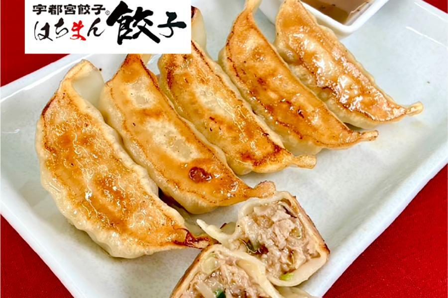 　「宇都宮餃子 はちまん餃子」の肉汁溢れる焼き餃子（５個６４８円）