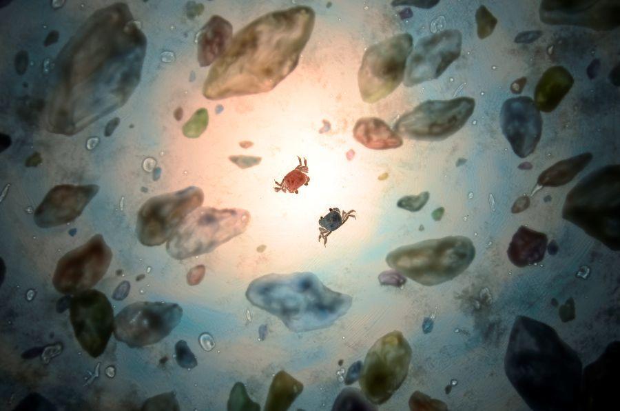 　『やまなし』より。宮澤賢治原作『やまなし』をアニメーションで表現。監督 鋤柄真希子 松村康平