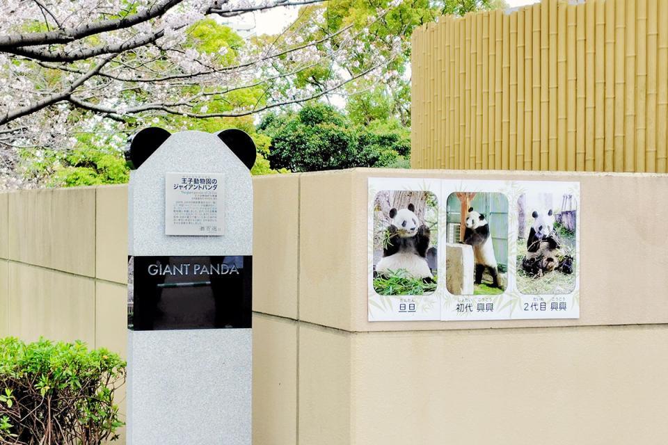 タンタン、初代＆2代目コウコウ、ありがとう…」神戸市立王子動物園