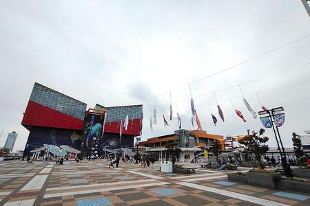 　海遊館では「鯉のぼり」ではなく…（４月１２日／Ｌｍａｇａ.ｊｐ撮影）