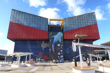　世界最大級の水族館「海遊館」（大阪市港区／Ｌｍａｇａ.ｊｐ撮影）