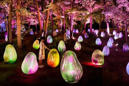「大阪市立長居植物園」（大阪市東住吉区）で開催されている夜の野外ミュージアム『チームラボ ボタニカルガーデン 大阪』