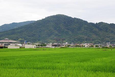 「三輪明神 大神神社（おおみわじんじゃ）」（奈良県桜井市）が、7月21日から猛暑のため当面の間、三輪山の登拝を中止にすると発表（画像提供：三輪明神 大神神社）