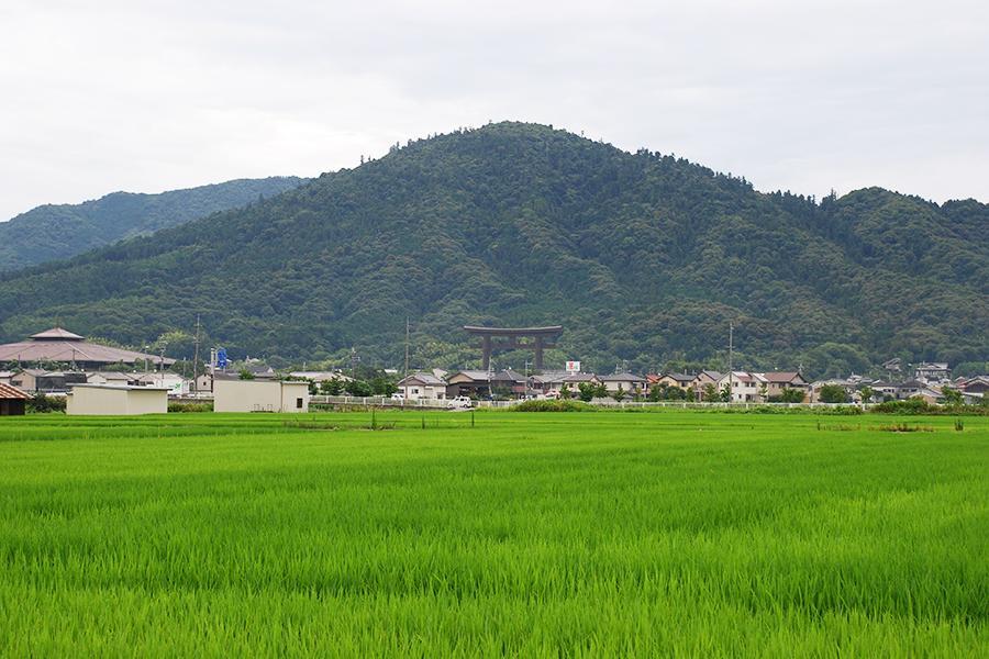 「三輪明神 大神神社（おおみわじんじゃ）」（奈良県桜井市）が、7月21日から猛暑のため当面の間、三輪山の登拝を中止にすると発表（画像提供：三輪明神 大神神社）