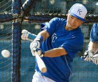 青木のロイヤルズ、軽めに調整