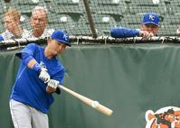 青木のロイヤルズ、１１日に初戦