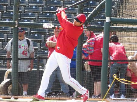 　フリー打撃で柵越えを連発した大谷（撮影・小林信行）