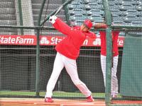 　敵軍選手の前で圧巻のフリー打撃を披露した大谷（撮影・小林信行）