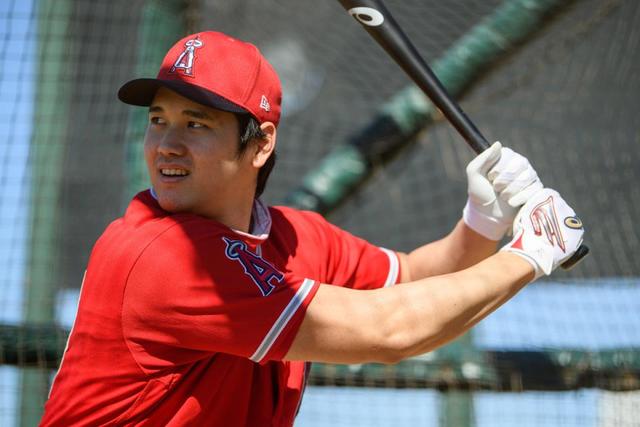 大谷翔平、３打席連続三振　７戦ぶり無安打　チーム敗れる