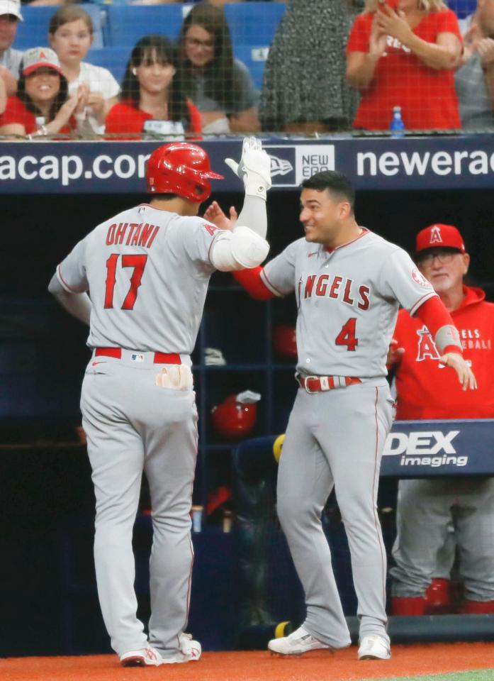 レイズ戦の１回、先頭打者本塁打を放ち、ベンチ前でＪ・イグレシアス（右）に迎えられるエンゼルス・大谷＝セントピーターズバーグ（共同）