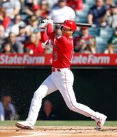 　レイズ戦の１回、一ゴロに倒れたエンゼルス・大谷＝アナハイム（共同）