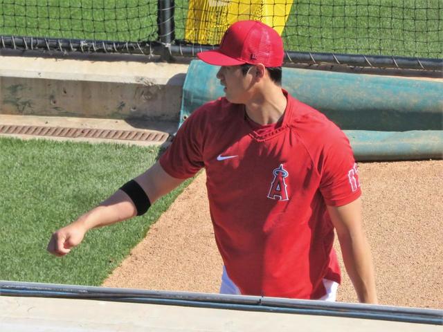 大谷“当たり日”苦笑い　イタタ…今季初の死球に自身のバットまでコツン　打席は２タコ