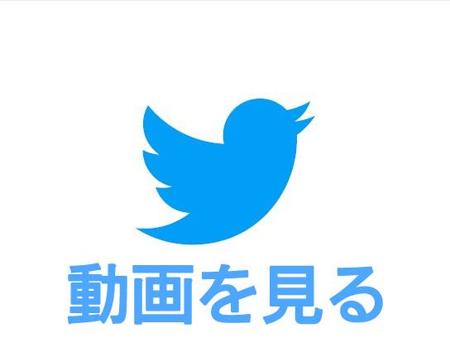 ※ツイートの白い部分をクリックするとツイッターで動画が再生されます