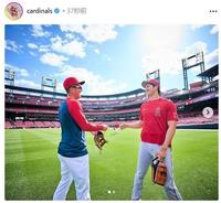 　カージナルスの公式インスタグラム（ｃａｒｄｉｎａｌｓ）より